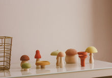 Load image into Gallery viewer, Mushroom Medley
